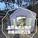 힐스보청기센터 | 홍천 높은터펜션 바베큐무한리필 찐 리뷰