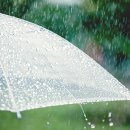 조례1길 이미지