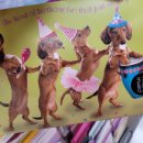 시은약국 이미지