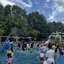 동강대자연 이미지