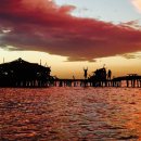 애지중지 이미지