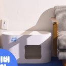 고로고로펫 이미지