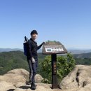 백화산약수터 | 팔봉산[충남 서산] 등산 후기⛰️