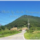 백송식당 이미지