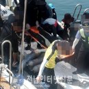 거문도스킨스쿠바