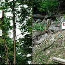 청천초 신월분교 이미지