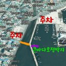 노을쭈꾸미 | [경남 사천] 2024.10.27 삼천포 쭈꾸미낚시, 선상낚시 큰바다호 이용 후기