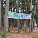 춘장대솔내음캠핑장 | 충남 캠핑용장작 추천, 춘장대 솔내음캠핑장 납품 후기