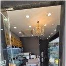 버디독 강아지분양 고양이분양 안심분양센터 서울 강서점 이미지