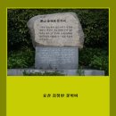 요산 김정한문학비 이미지