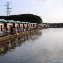 러블리펫108 이미지