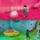 (6/24 오전반)퍼스널 컬러, 나를 가장 나답게 | 컬러풀뮤지엄 인사동 아이랑 서울 전시회 예매 주차 후기