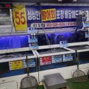 르노삼성자동차서비스코너 매천점 | 대구 매천수산시장 신화수산55번집 대광어 포장 내돈내산 솔직후기