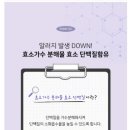 주식회사 펫더맨 이미지