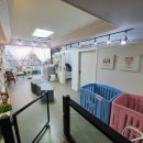 광주동물병원 이미지