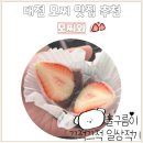 대전 영춘모찌 대신 방문한 맛집 모찌와 내돈내산 후기