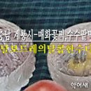 달보드레의달콤한수다