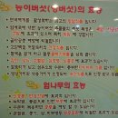 향계 이미지