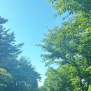 [골프/Golf] 충청 파인스톤cc 야간 라운딩 후기