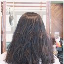 새봄헤어 (다정점)