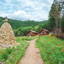 팔영산편백민박 이미지