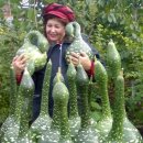 행복의꿈 이미지