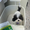 반자주 민락점 이미지