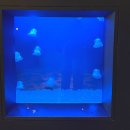 스타벅스 낙성대역점 앞 횡단보도 | 오사카 유니버셜 재팬 근처 호텔 유니버셜 포트 후기