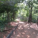 [7.23 토요걷기] 봉산 - 수국사 -서오릉, 한여름 숲길걷기 이미지