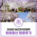 서동산업안전(서동IS) | 2026 SK인천석유화학 벚꽃동산 다녀왔어요! | 인천 서구 벚꽃명소