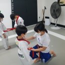 움찬태권도 이미지