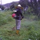 철주농장 이미지