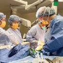 추세로병원 이미지