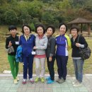 개진초등학교 이미지