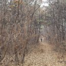 벽제 게이트볼장 이미지