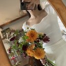 행복한숲 Happy forest 이미지