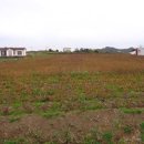 대정읍 상모1리사무소 이미지