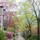 강문석 수필 - 꽃동산 봄비 이미지