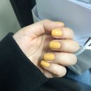 렐릭(Relic) 이미지