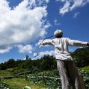 태양마을영농조합법인 이미지