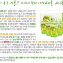 지장수식품 Daum카페