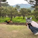 샘물농장 2 이미지