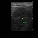 덕계 원 동물병원 이미지