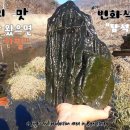 뽈록이네