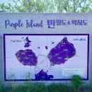 신안군관광협의회안좌퍼플교지점 이미지