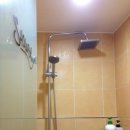 바디 스타일리스트 이미지