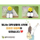 마글론농장 이미지