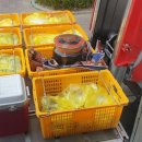 대신익스프레스 이미지