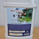 운동화세탁 | 내돈내산 부활세제 패딩 운동화 세탁 솔직후기