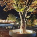 인지솔카페 이미지